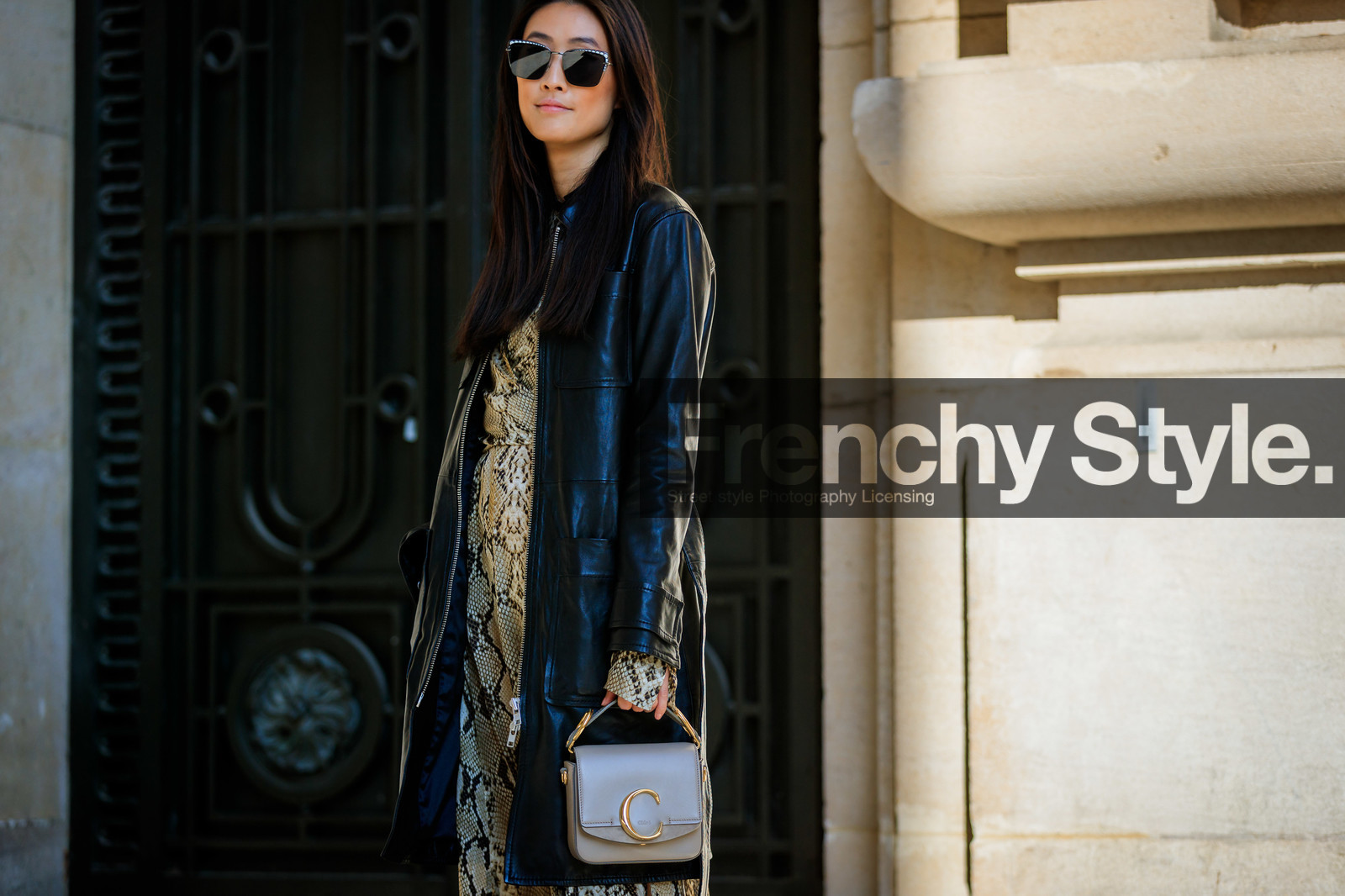 animal print, beige bag, black coat, brown dress, chloé, graphic dress, justine lee, leather bag, leather coat, printed dress, snake print, sunglasses, PARIS, PFW, street style, jonathan paciullo, FW, frenchystyle, fashion week, AUTUMN WINTER 2019-2020, AW 19-20, FALL WINTER 2019-2020, FW 19-20, horizontal, atmosphere details, detail