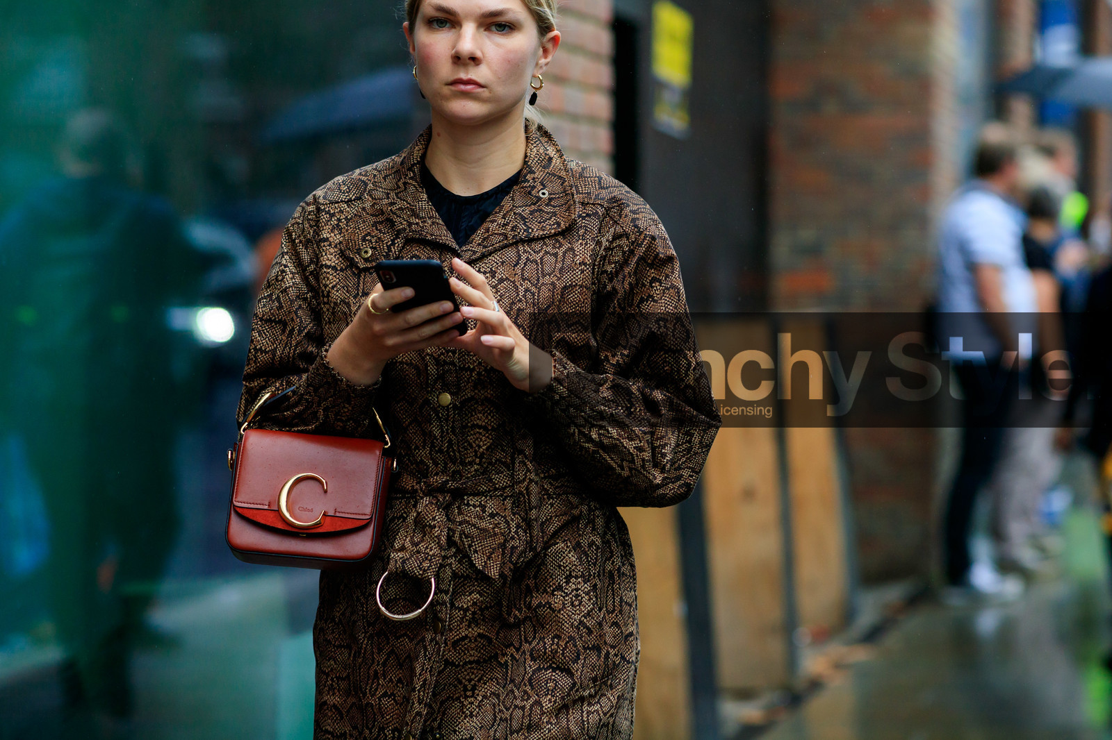 animal print coat, belted coat, chloe bag, brown leather bag, fashion week, frenchystyle, FW, jonathan paciullo, street style, atmosphere details, horizontal, detail